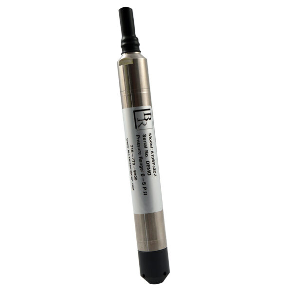 Model BR913 Serial/Digital Interface Submersible Level Transmitter